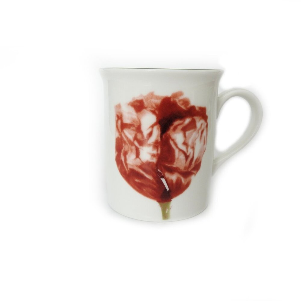 Villeroy & Boch Poppy Bud Flora Mug Germany 1748 Ceramic Premium Porcelain